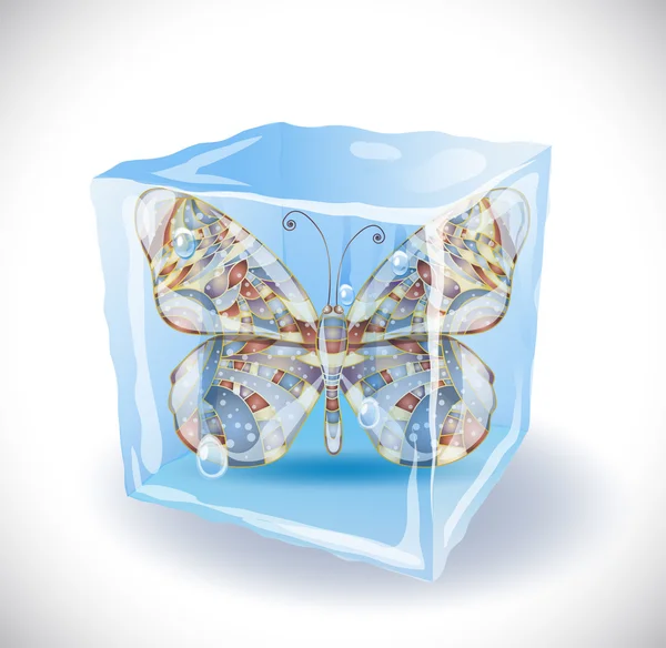 Cubo de gelo com borboleta — Vetor de Stock