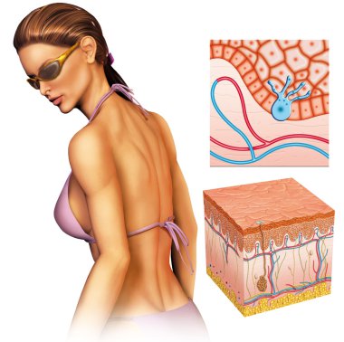Tanned woman clipart