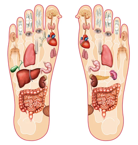 Reflexology — Zdjęcie stockowe