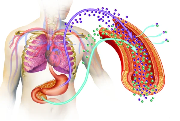 Diabetes type — Stockfoto