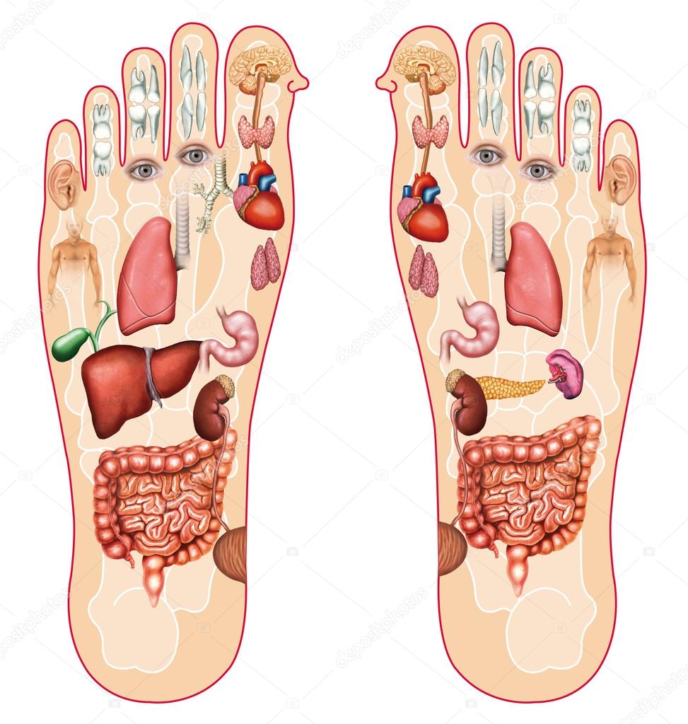 Reflexology