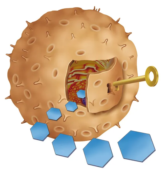 Buňka s klíčem inzulín Stock Obrázky