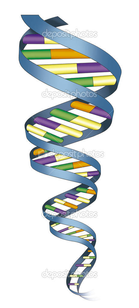 Simbol ADN