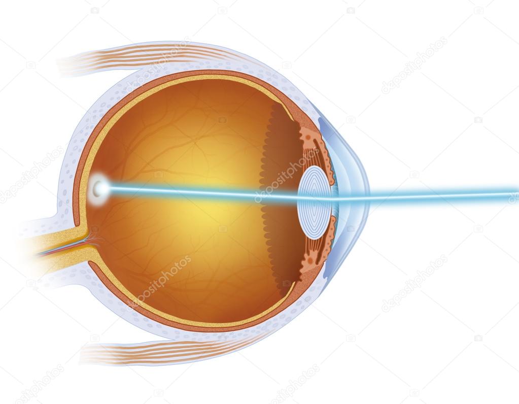 laser treatment on the eye - 图库照片