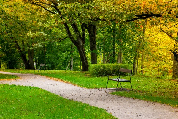 Wooden Lonely Bench Footpath Old Park Area Early Autumn — Stockfoto