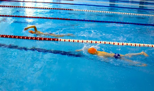 Piccoli nuotatori — Foto Stock