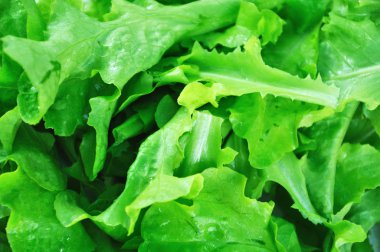 yeşil salata