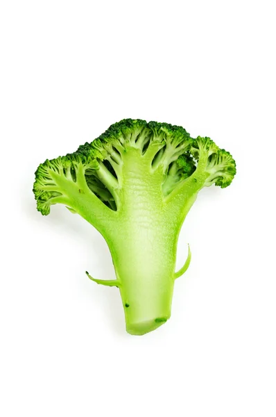 The cut inflorescence of a broccoli Royalty Free Stock Photos