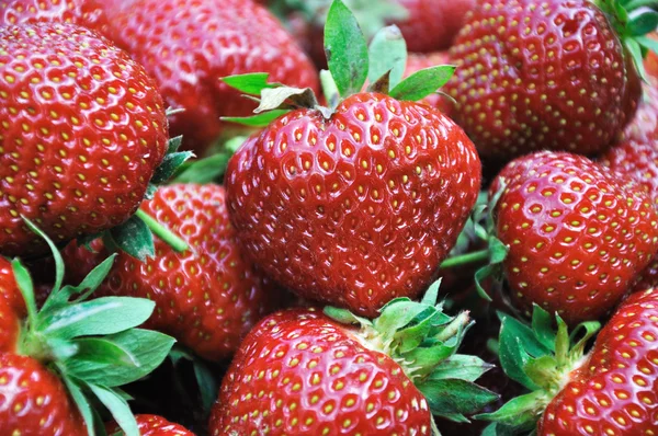 Strawberries close up — Stock Photo, Image