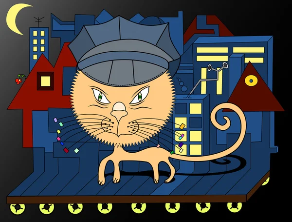 kedi polis gece şehir