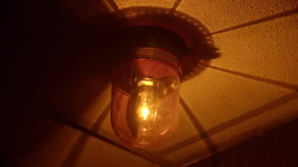 Orange Alarm Flash Light Spinning Loop — Vídeo de Stock