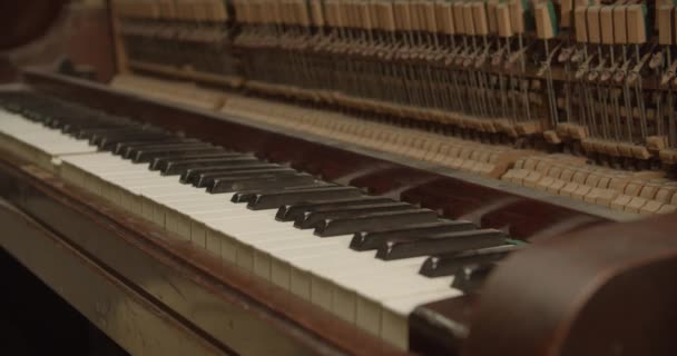 Piano Plays Itself Keys Mechanism Move Randomly Chaotically Possessed Ghost — Stockvideo