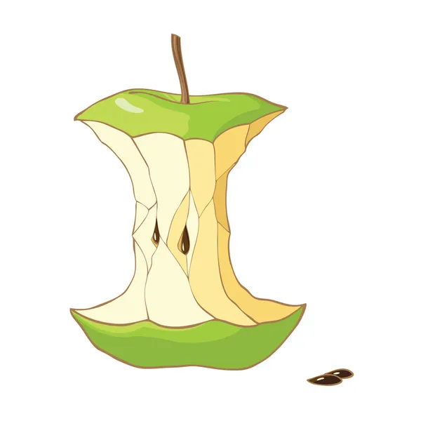 Πράσινο μήλο πυρήνα — Διανυσματικό Αρχείο