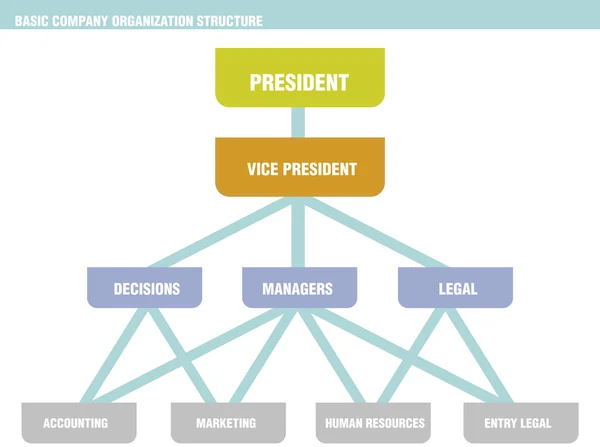 Fundamentele bedrijf structuur organigram — Stockvector