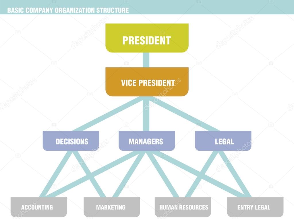 Basic Company Organization Structure Chart