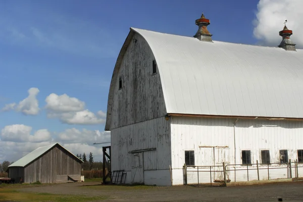 Big Barn, Little Barn — Stock Photo, Image