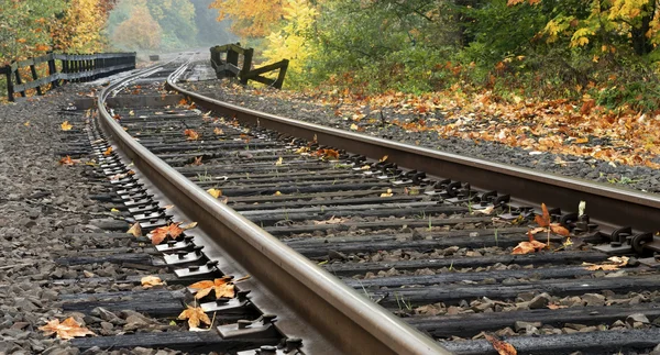 demiryolu parça sırasında sonbahar