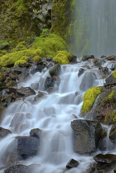 Cachoeira de fluxo — Fotografia de Stock