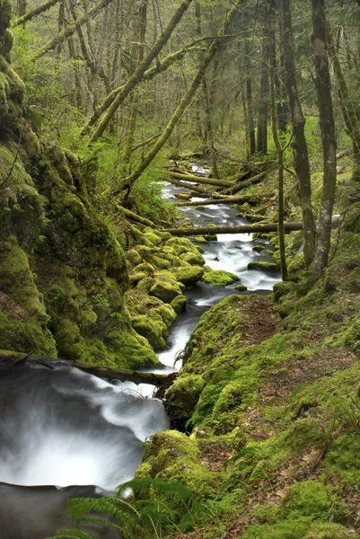 Acqua che scorre giù per un torrente — Foto Stock