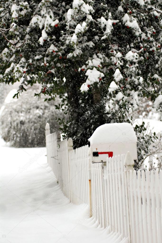 Mailbox Snowed Over On A Frosty Day