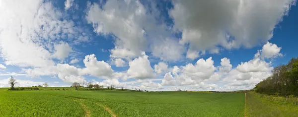 Idilli vidéki táj, Cotswolds, Egyesült Királyság — Stock Fotó