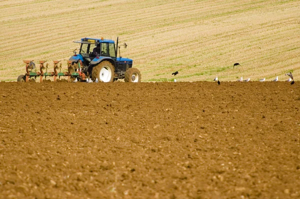 Farmer ploughing field for next crop. — Stock Photo, Image