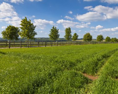 Idyllic rural farmland, Cotswolds UK clipart