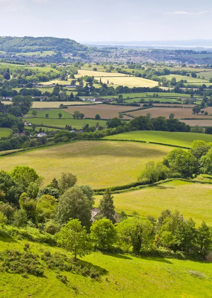 Pastoral kırsal manzara, cotswolds uk