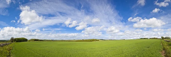 Paesaggio rurale idilliaco, Cotswolds Regno Unito — Foto Stock
