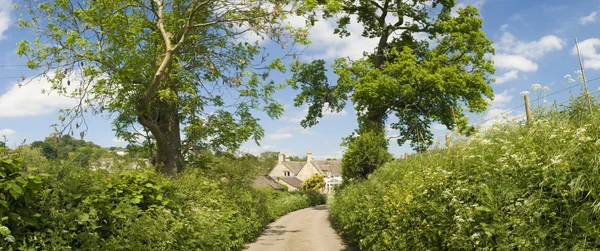 Natuur proef — Stockfoto