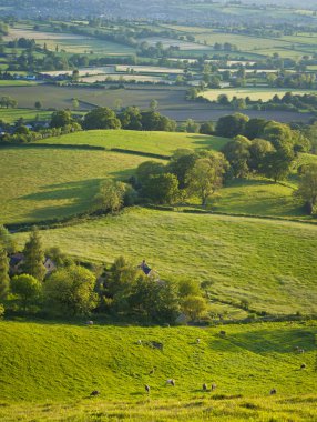 Pastoral kırsal manzara, cotswolds uk