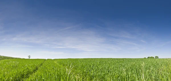 Paesaggio rurale idilliaco, Cotswolds Regno Unito — Foto Stock