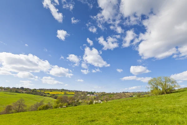 Paysage rural idyllique, Cotswolds UK — Photo