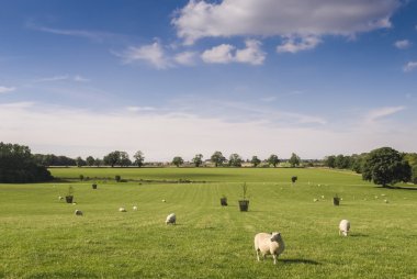 Pastoral kırsal tarım arazileri, cotswolds uk