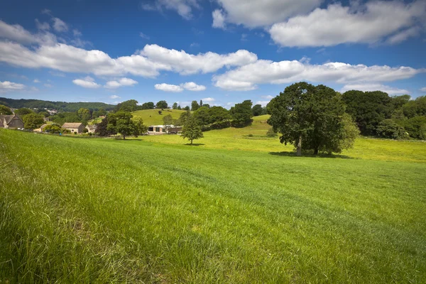 Pastoral kırsal manzara, cotswolds uk — Stok fotoğraf