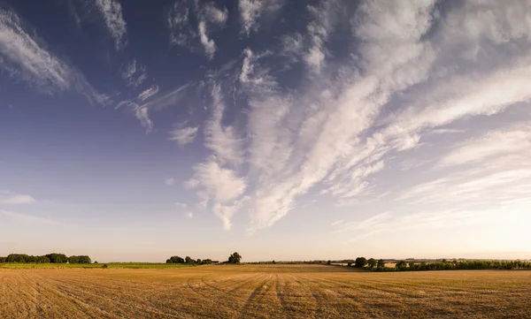 Grande paesaggio rurale dorato — Foto Stock