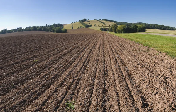 sürülmüş tarım alanı ve peyzaj