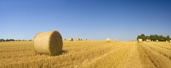 Fardos de feno, landscap rural idílico — Fotografia de Stock