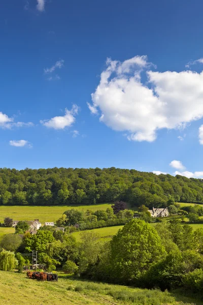 Idyllic rural farmland, Cotswolds UK — Zdjęcie stockowe