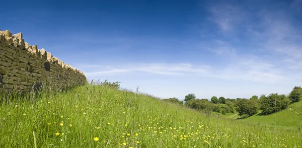 田园诗般的乡村景观，英国科茨沃尔德 — 图库照片