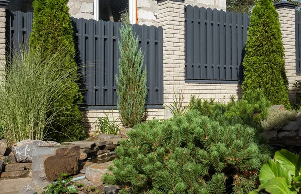 Profilli metal dokusu. Metal çit. Metal profilden yapılmış modern bir çitin arka planında thuja occidentalis.