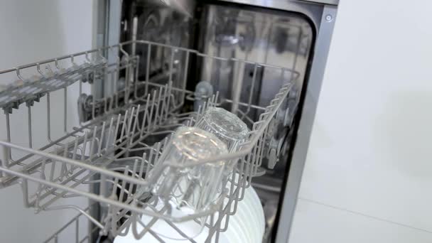 Loading Dishes Glasses Wine Glasses Dishwasher — Video Stock