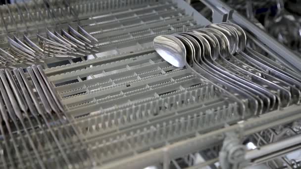 Loading Dishes Spoons Dishwasher — Stockvideo