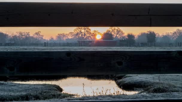 El amanecer por la mañana. Tiempo de caducidad . — Vídeos de Stock