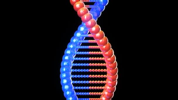 DNA torcendo e muovendosi verso l'alto con inizio e fine . — Video Stock