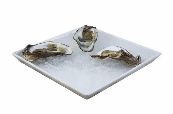 Oysters the Dozen — Stock Photo, Image