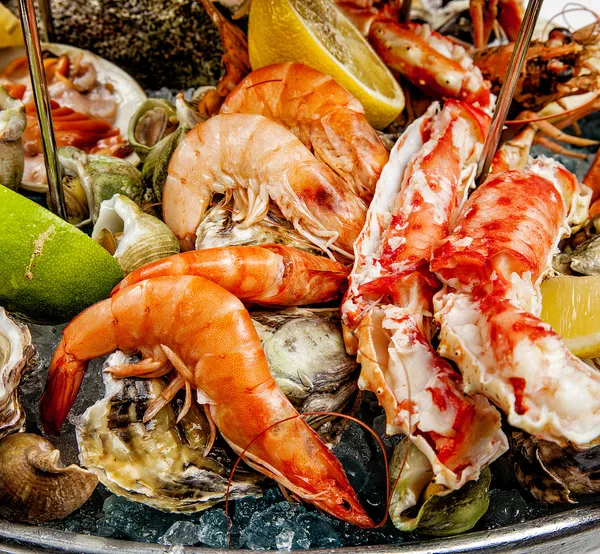 Uma mistura de frutos do mar — Fotografia de Stock