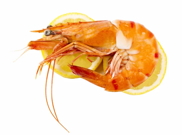 Delicious fresh cooked shrimp — Stock Photo, Image