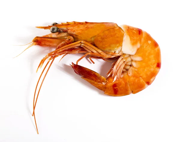 Cooked unshelled tiger shrimp — Stock Photo, Image