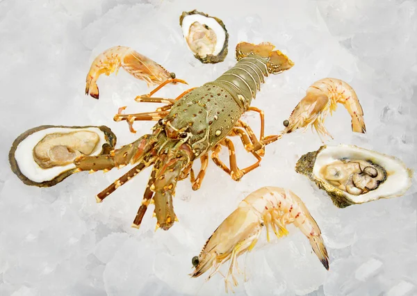 Seafood — Stock Photo, Image